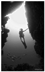 Diver in Silhouette. by Keith Savill 